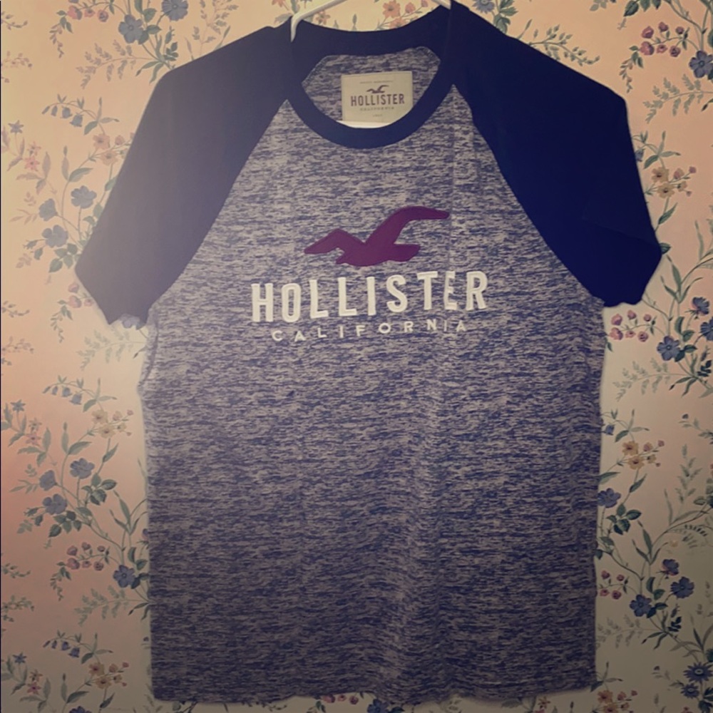 Men Small Hollister brand name shirt.